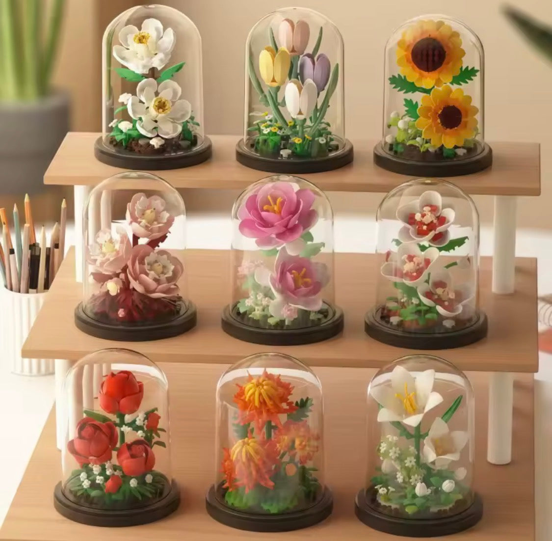💐 Fleurs sous cloche 🔔