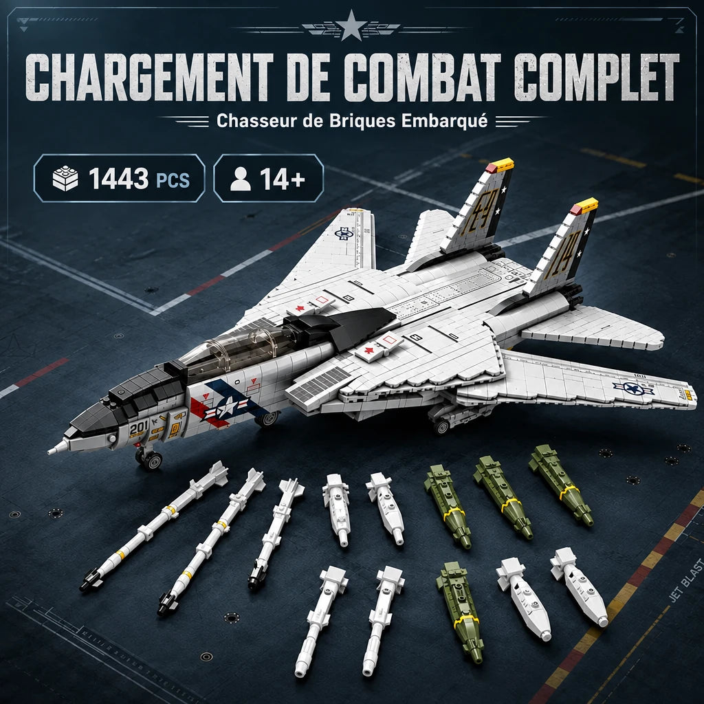 ✈️ Avion de chasse F-14 Tomcat | 1 443 pièces