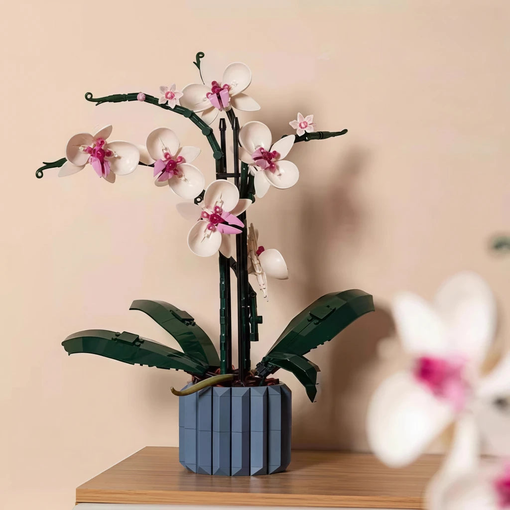 💐 Collection Florale Éternelle  - Edition Botanique 💐